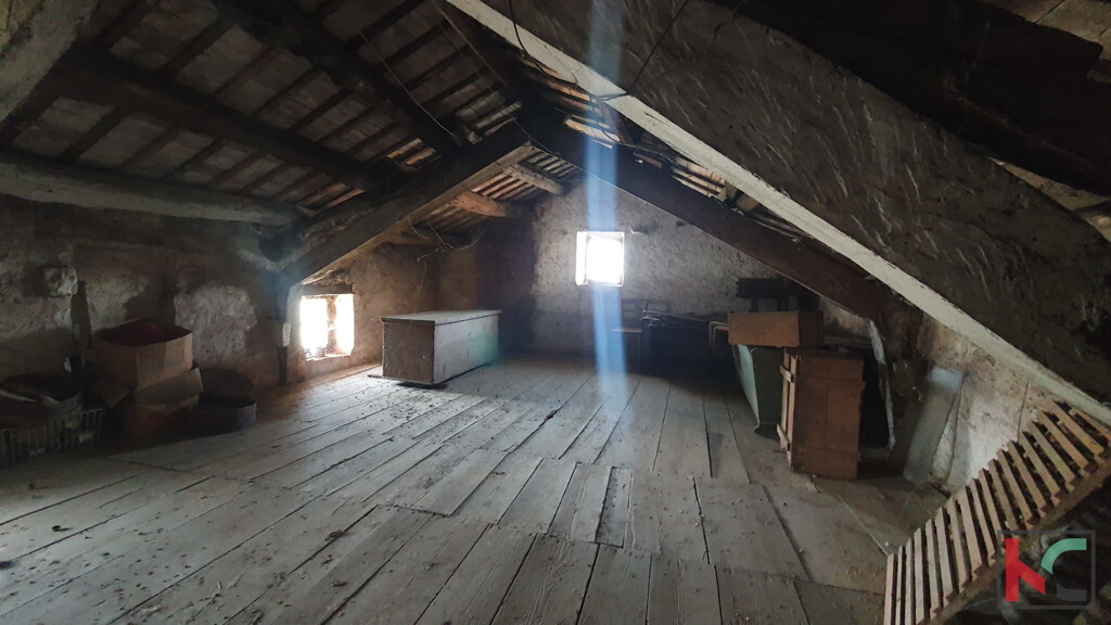 Image 6230583 - 15