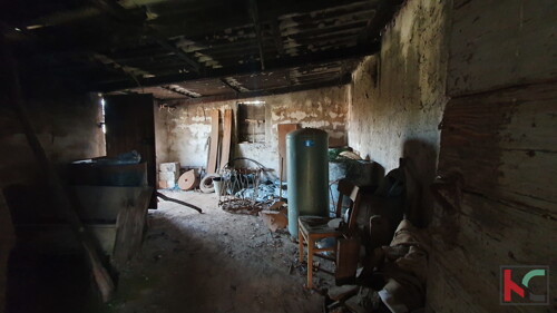 Thumbnail 6230583 - 20