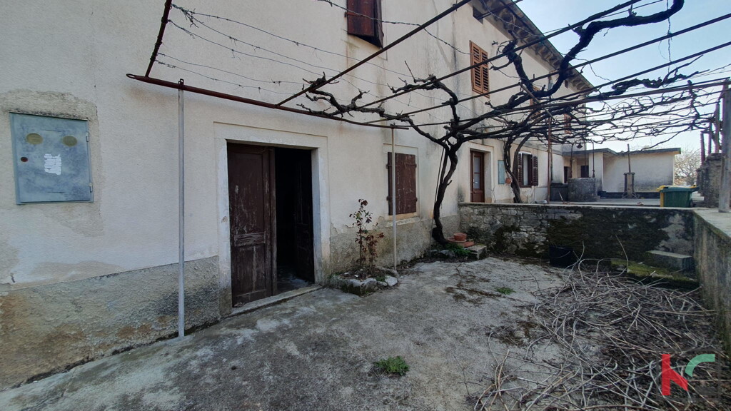 Image 6230583 - 5