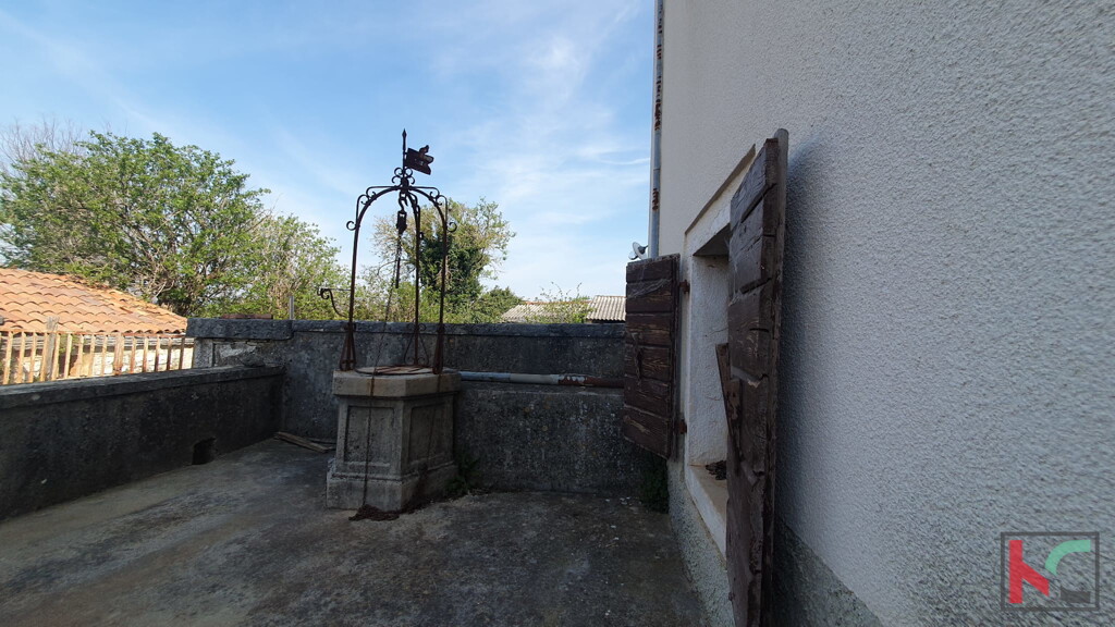 Image 6230583 - 4