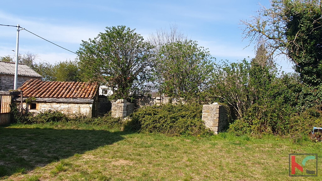 Image 6230583 - 7