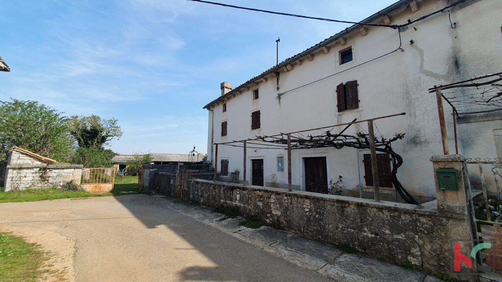 Image 6230583 - 2