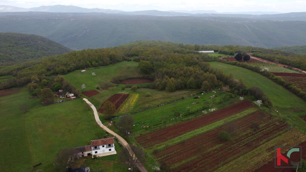 Image 6230584 - 10
