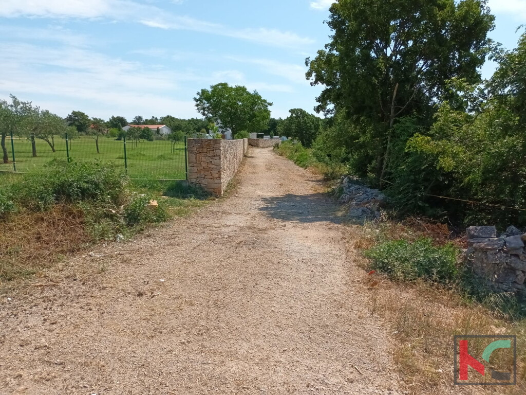 Image 6230587 - 20