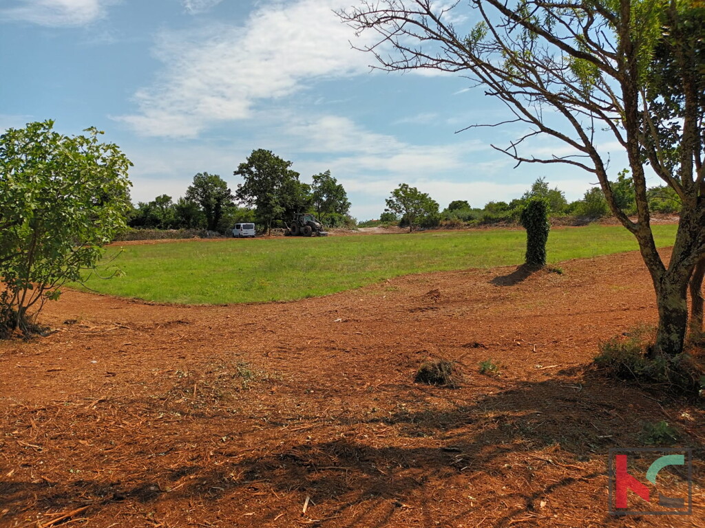 Image 6230587 - 26