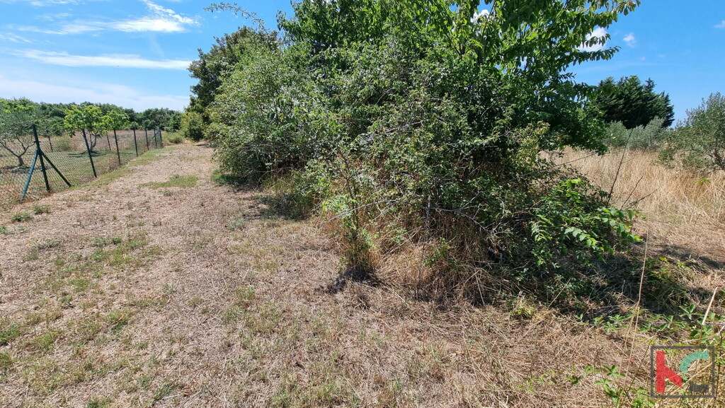 Image 6230588 - 5