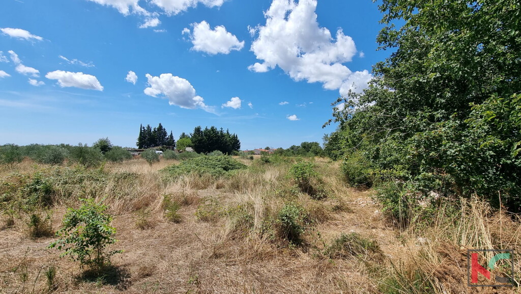 Image 6230588 - 9