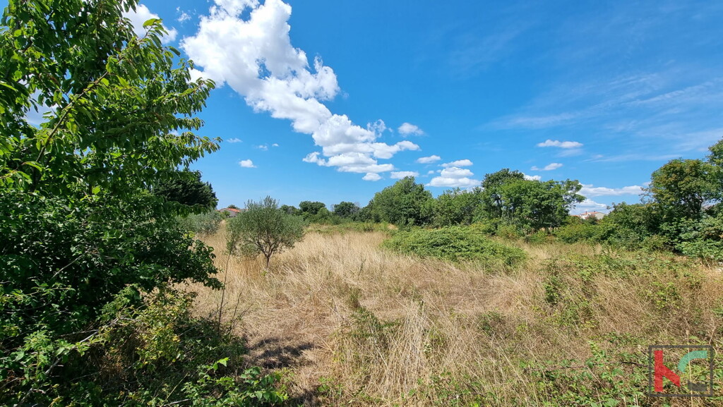 Image 6230588 - 7