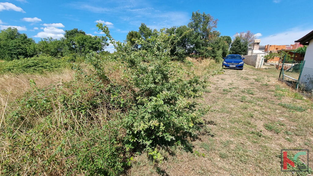 Image 6230588 - 4