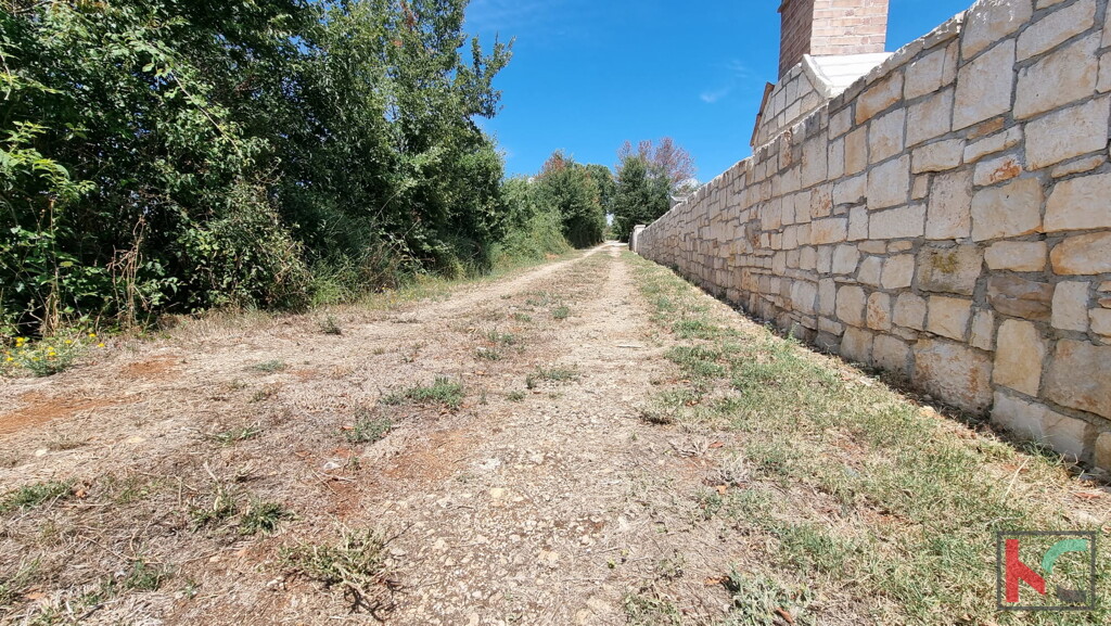 Image 6230588 - 10