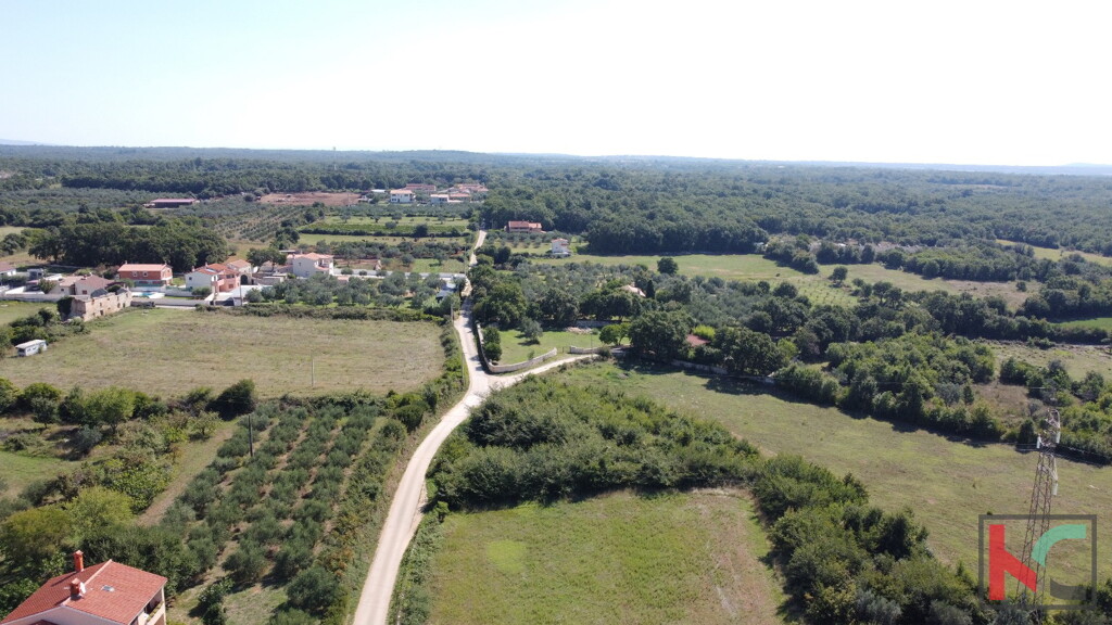 Image 6230591 - 4
