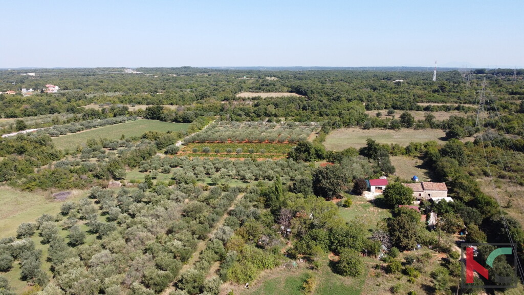Image 6230591 - 11