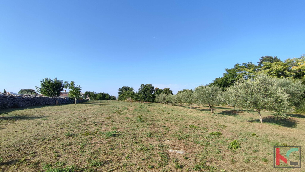 Image 6230599 - 1