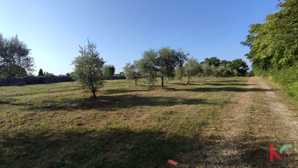 Image 6230599 - 2