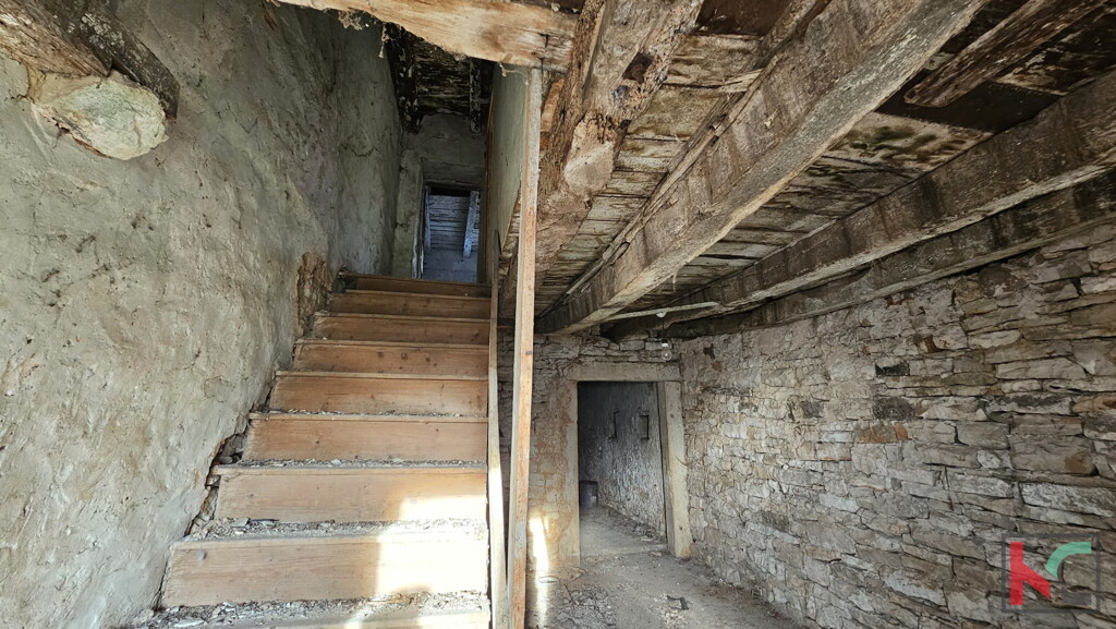 Image 6230607 - 9