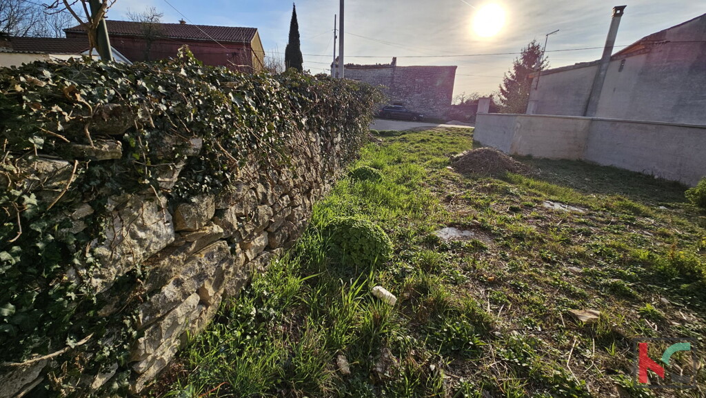 Image 6230607 - 14
