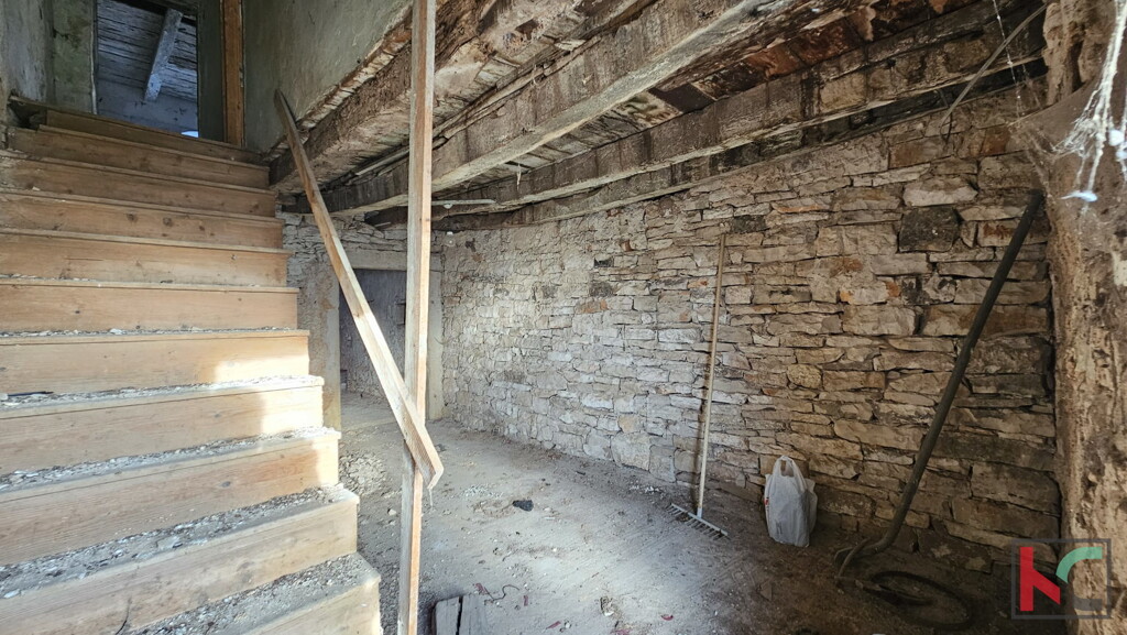 Image 6230607 - 3