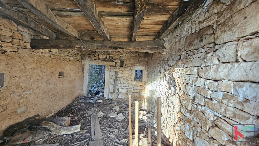 Image 6230607 - 2