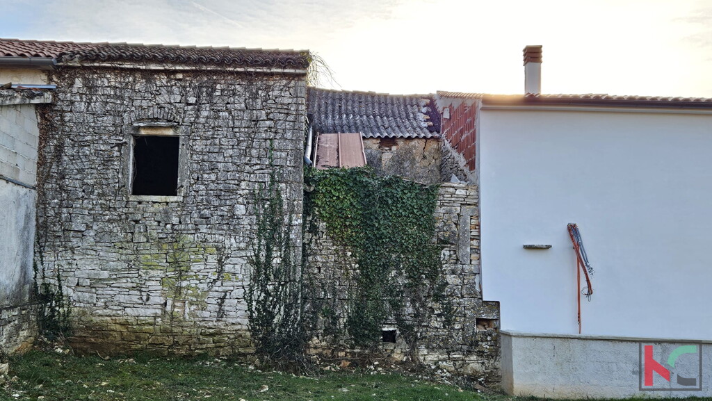 Image 6230607 - 4