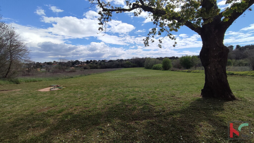 Image 6230610 - 11