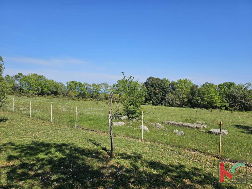 Image 6230613 - 1
