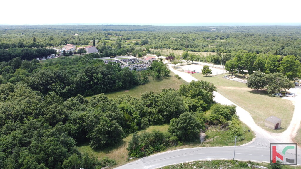 Image 6230616 - 27