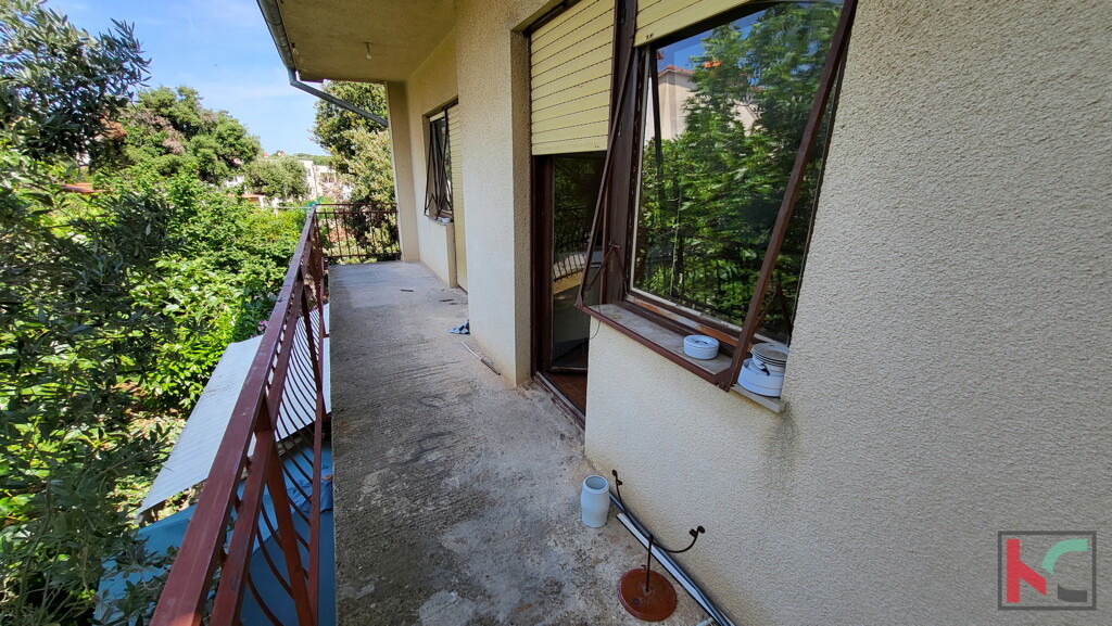 Image 6230617 - 12