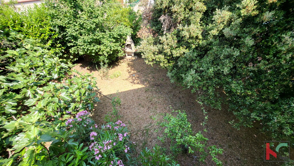 Image 6230617 - 13