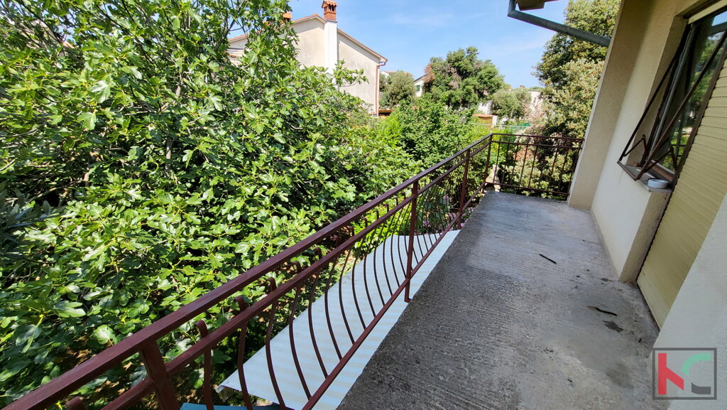 Image 6230617 - 10