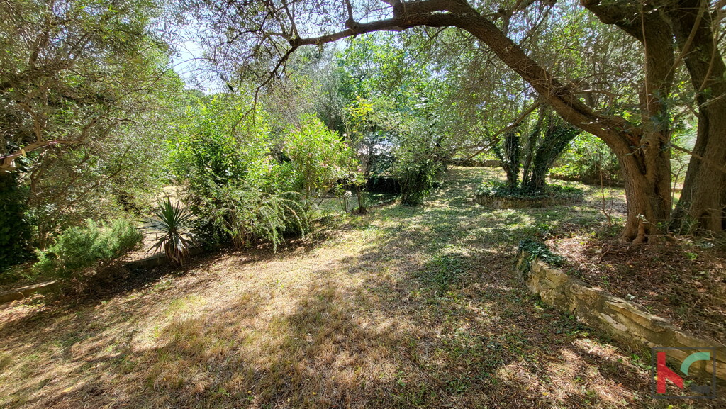 Image 6230617 - 4