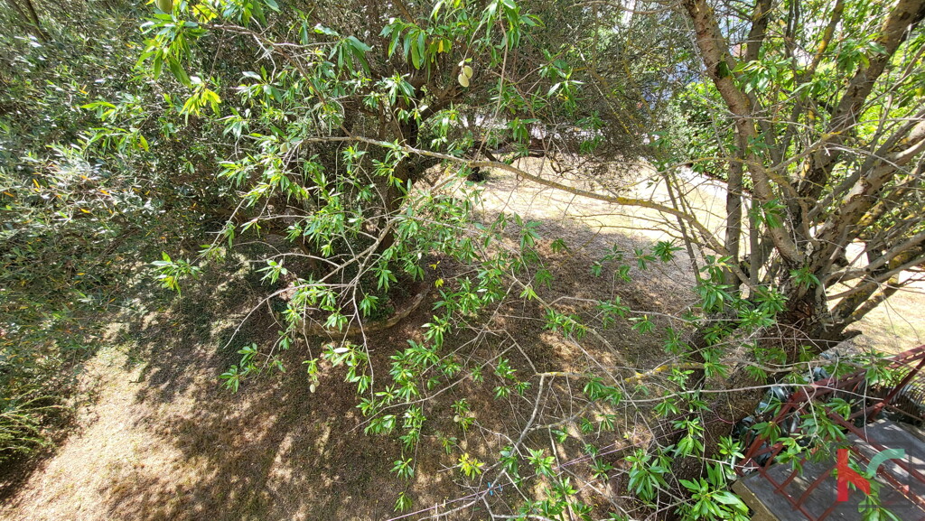 Image 6230617 - 5