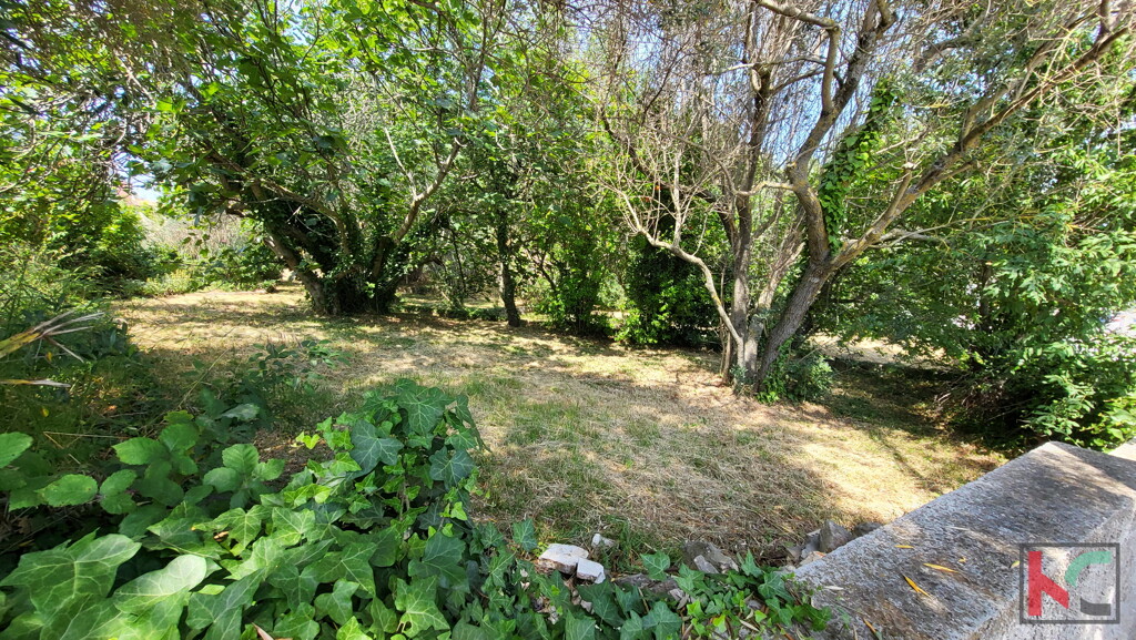 Image 6230617 - 14
