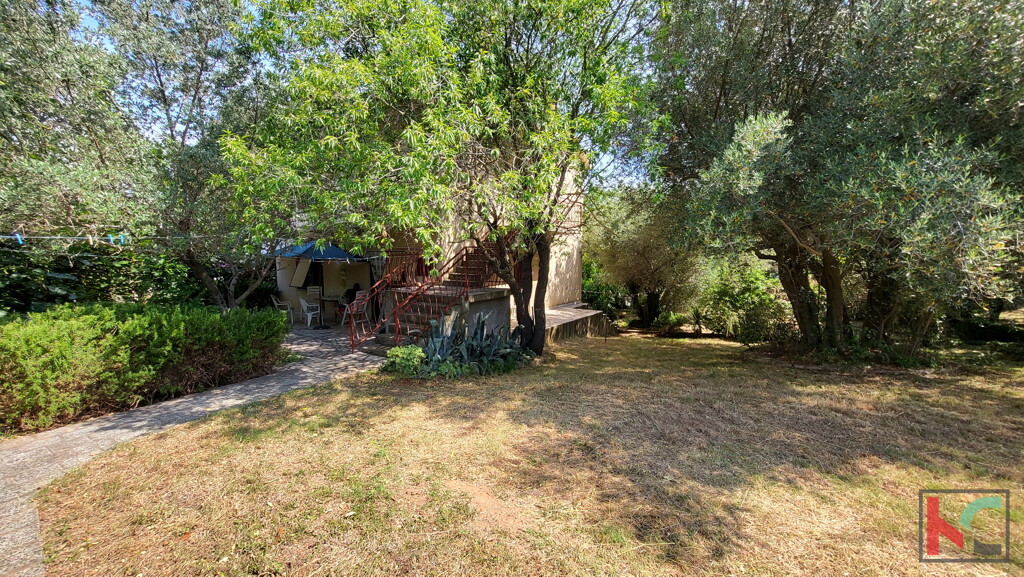 Image 6230617 - 3