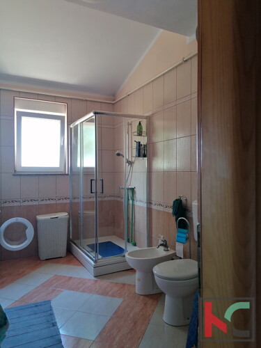 Thumbnail 6230618 - 6