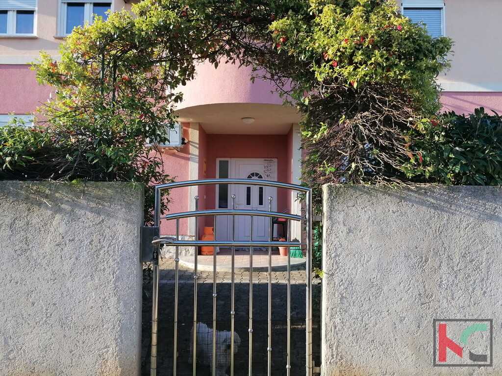 Image 6230618 - 1