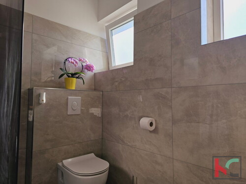Thumbnail 6230620 - 5