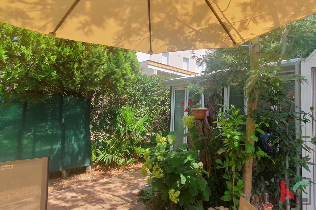 Image 6230623 - 26