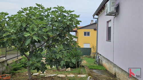 Thumbnail 6230624 - 10