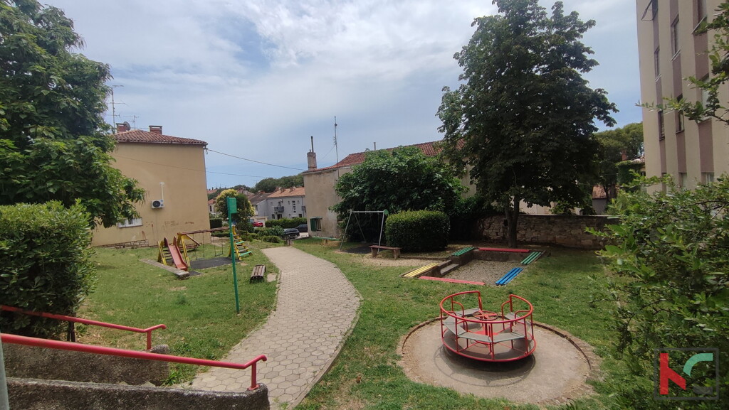 Image 6230638 - 1