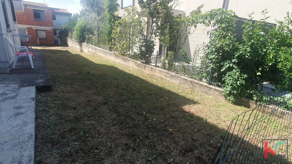 Image 6230641 - 4