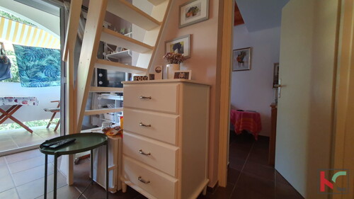 Thumbnail 6230643 - 5