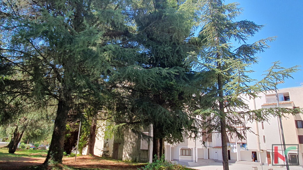 Image 6230643 - 19