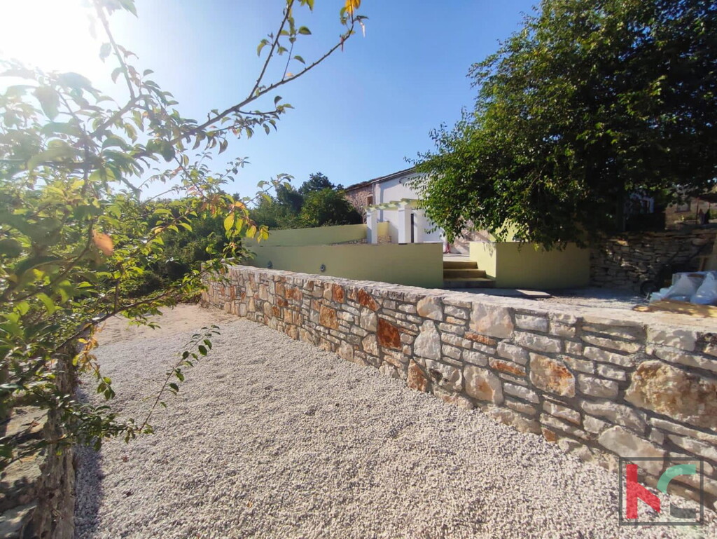 Image 6230644 - 1