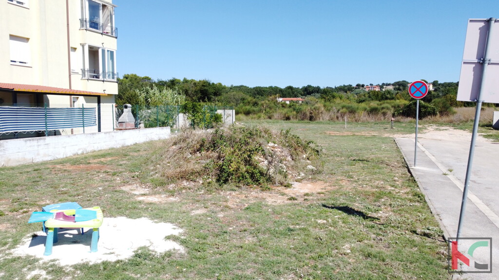 Image 6230646 - 4