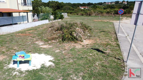 Thumbnail 6230646 - 1