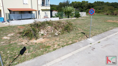 Thumbnail 6230646 - 3