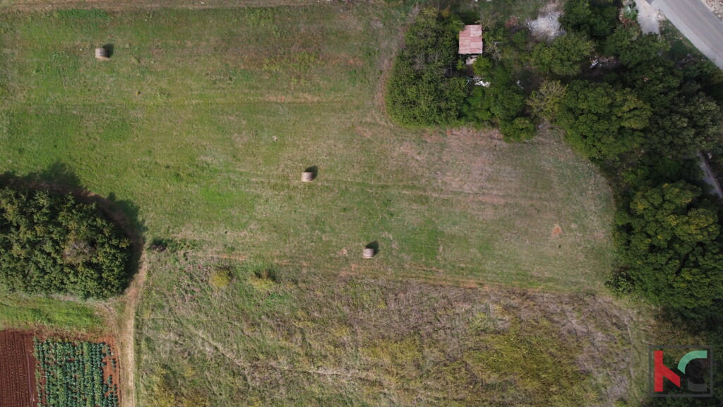 Image 6230647 - 4