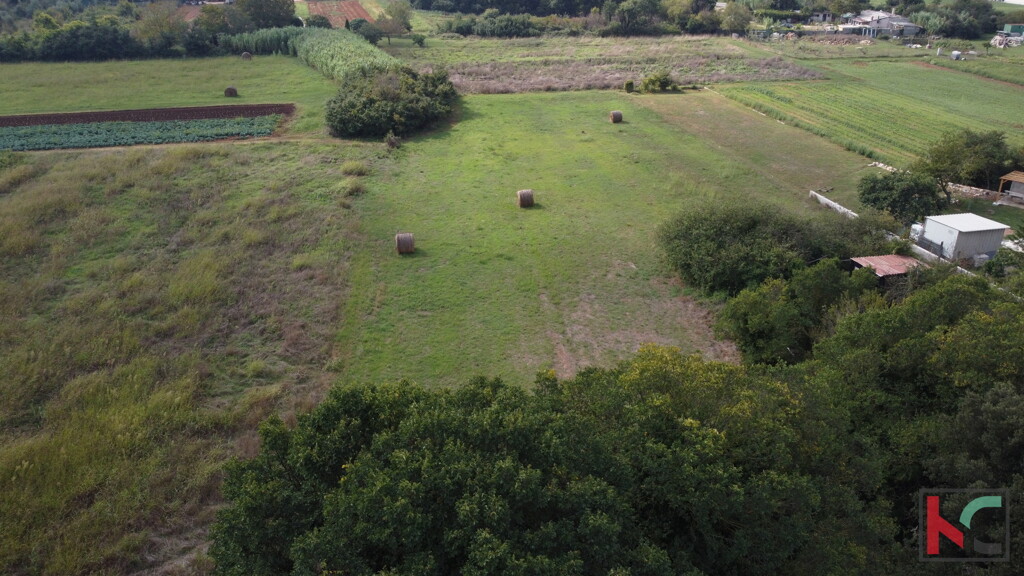 Image 6230647 - 6