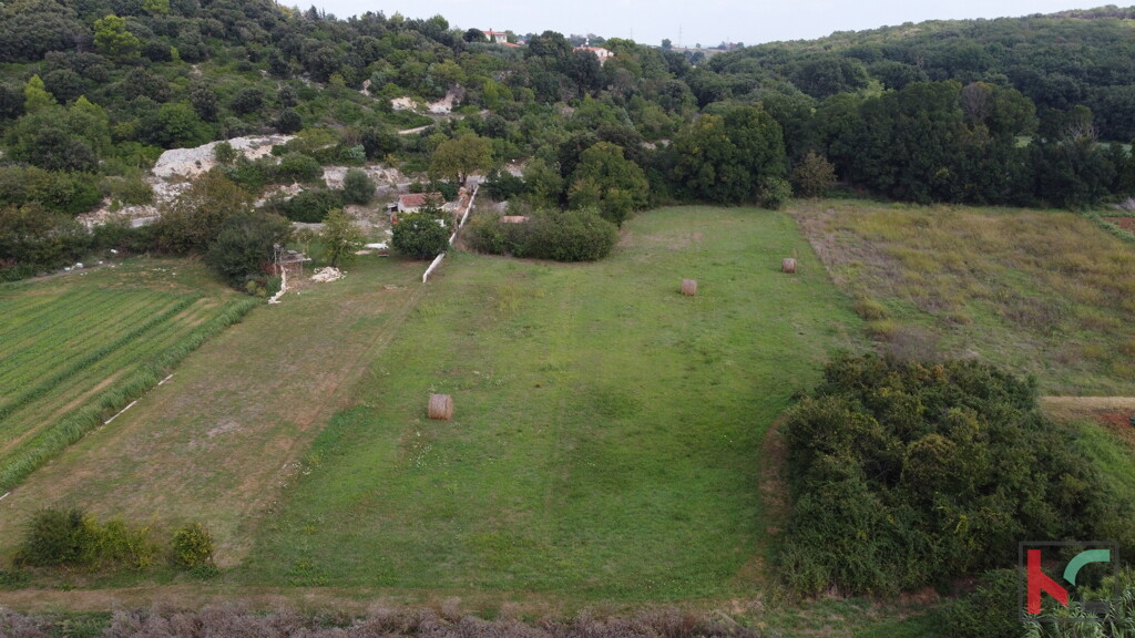 Image 6230647 - 5