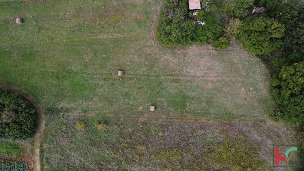 Image 6230647 - 2